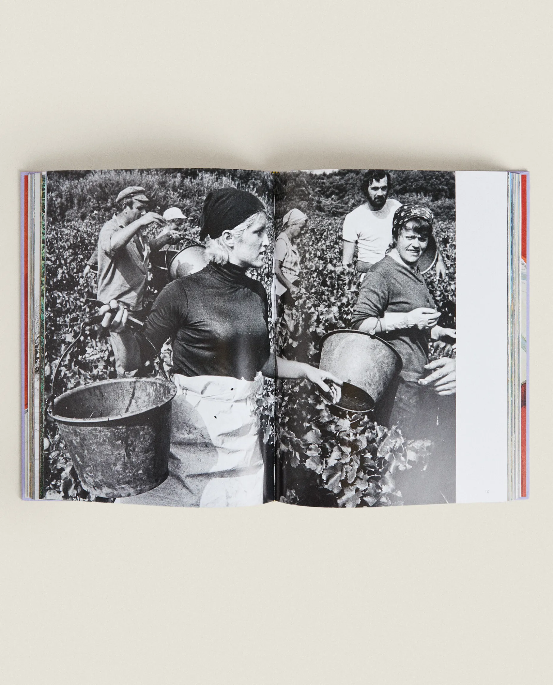 Assouline ‘Provence Glory' Book