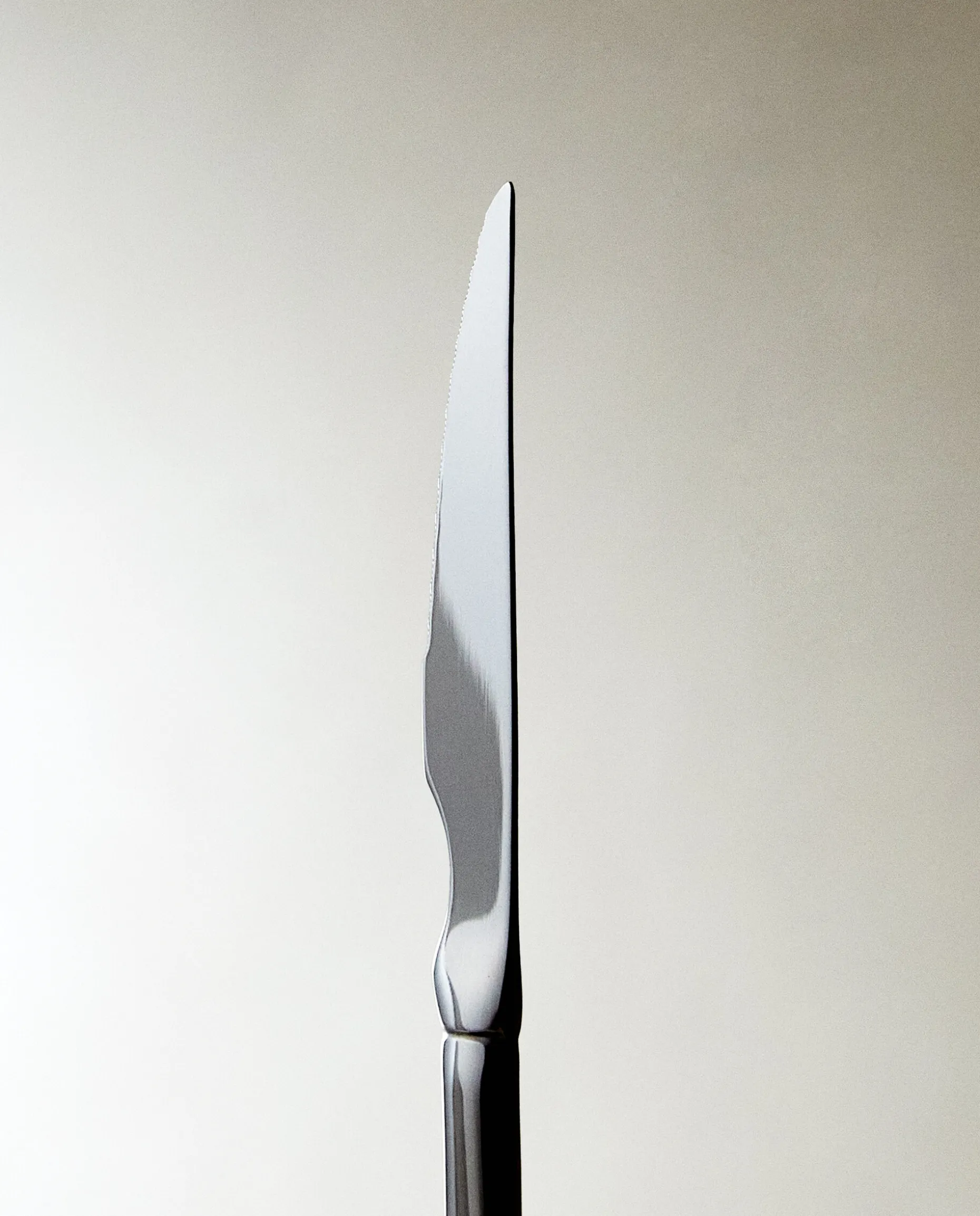 Classic Steak Knife