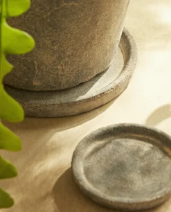 Dark Clay Plate