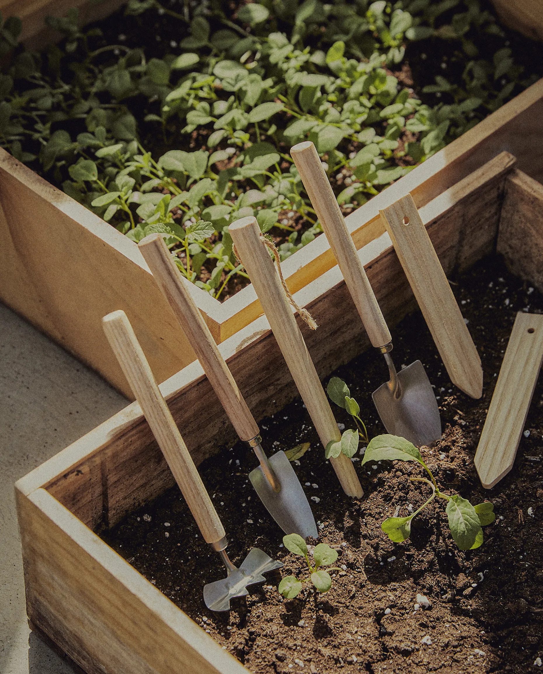 Garden Utensils (Set Of 6)