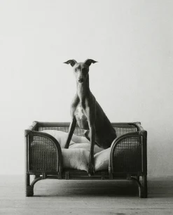 Linen Pet Cushion