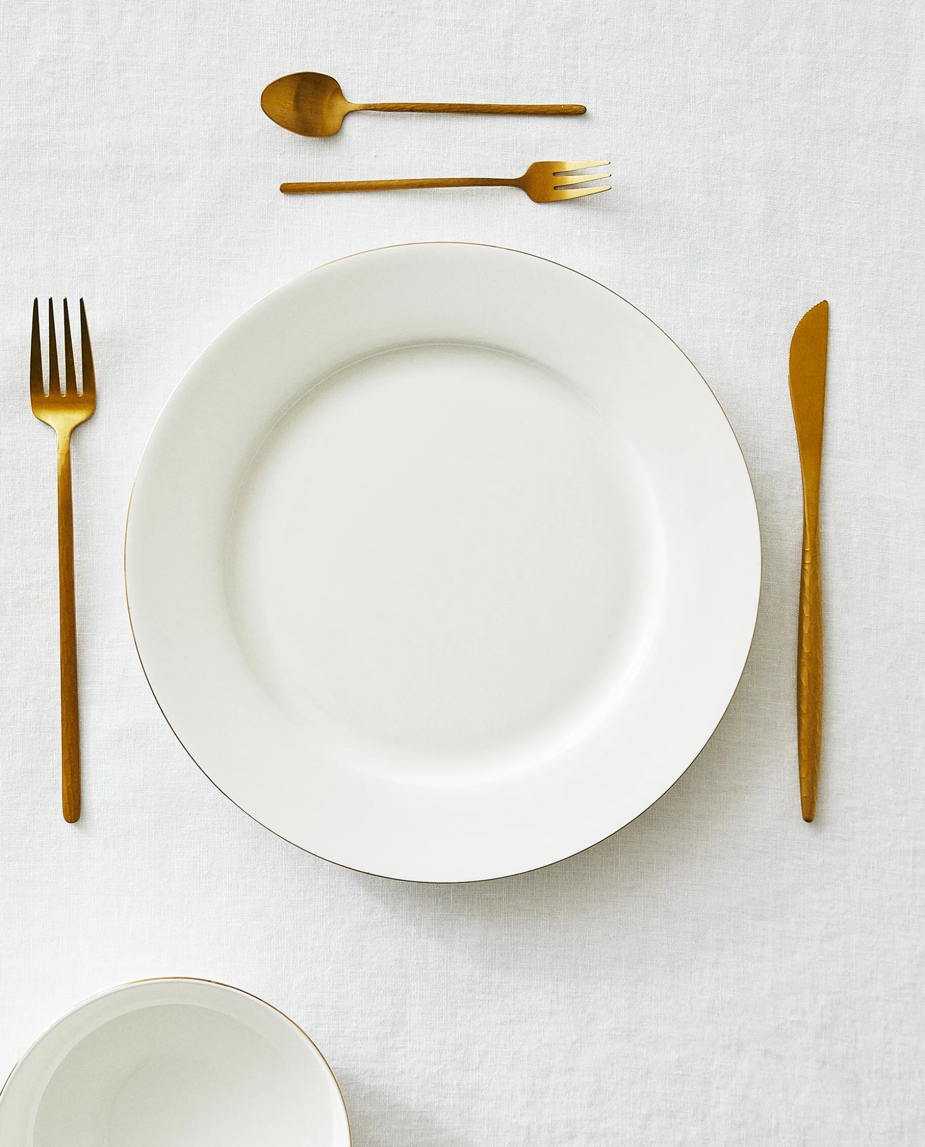 Rimmed Bone China Dinner Plate